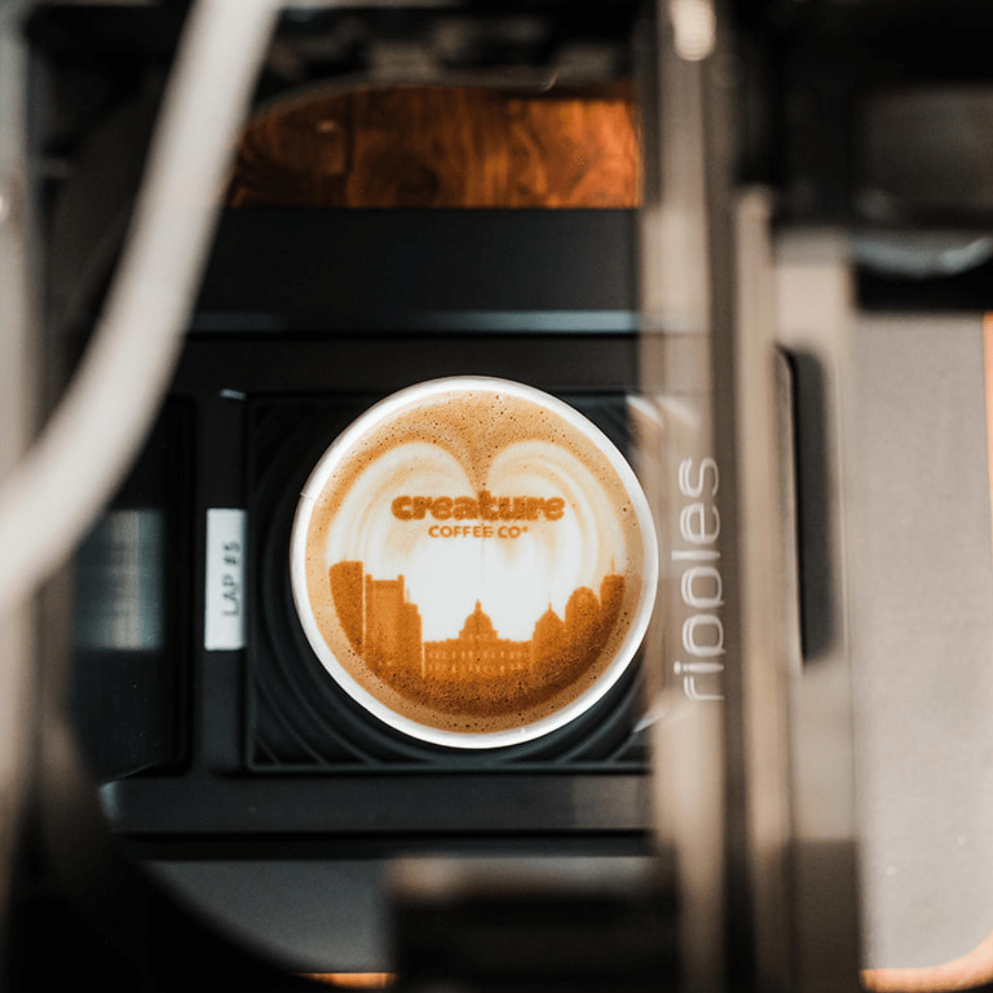 Coffee cup with a latte with 'creature coffee co' printed foam logo 